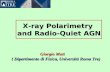 X-ray Polarimetry and Radio-Quiet AGN GiorgioMatt Giorgio Matt ( Dipartimento di Fisica, Università Roma Tre) ( Dipartimento di Fisica, Università Roma.