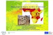 The European Digital Archive of Soil maps: The Soil Maps of Africa Senthil Selvaradjou and Luca Montanarella EUROPEAN COMMISSION JOINT RESEARCH CENTRE.
