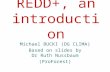 REDD+, an introduction Michael BUCKI (DG CLIMA) Based on slides by Dr Ruth Nussbaum (ProForest)
