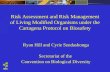 1 Risk Assessment and Risk Management of Living Modified Organisms under the Cartagena Protocol on Biosafety Ryan Hill and Cyrie Sendashonga Secretariat.