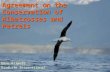 Agreement on the Conservation of Albatrosses and Petrels Gary Allport BirdLife International.
