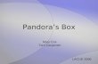 Pandoras Box Mary Cox Terri Carpenter LACUE 2008.