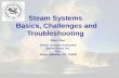 Steam Systems Basics, Challenges and Troubleshooting John Cilyo Senior Account Executive Spirax Sarco Inc. For Steve Jalowiec, PE, CHFM.