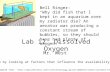 Lab 12: Dissolved Oxygen Mr. West Let's begin by looking at factors that influence the availability of oxygen… Adapted from: .