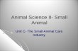 Animal Science II- Small Animal Unit C- The Small Animal Care Industry.