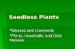 Seedless Plants Mosses and Liverworts Mosses and Liverworts Ferns, Horsetails, and Club Mosses Ferns, Horsetails, and Club Mosses.