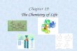 Chapter 19 The Chemistry of Life. The Molecules of Life 4 molecules necessary for life functions formed from smaller subunits – proteins – carbohydrates.