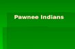 Pawnee Indians. Where Did the Pawnee Live? They lived in the Plains Region They lived in the Plains Region The Great Plains lie in the center of North.