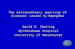 The extraordinary spectrum of diseases caused by Aspergillus David W. Denning Wythenshawe Hospital University of Manchester.