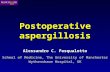 Postoperative aspergillosis Alessandro C. Pasqualotto School of Medicine, The University of Manchester Wythenshawe Hospital, UK.