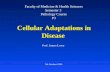 Cellular Adaptations in Disease Faculty of Medicine & Health Sciences Semester 3 Pathology Course P3 5th October 1999 Prof. James Lowe.
