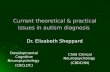Current theoretical & practical issues in autism diagnosis Dr. Elizabeth Sheppard Developmental Cognitive Neuropsychology (C8CLDC) Child Clinical Neuropsychology.