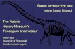 Sweet seventy-five and never been kissed. The Natural History Museum's Tendaguru brachiosaur Mike Taylor University of Portsmouth dino@miketaylor.org.uk.