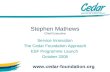 Stephen Mathews Chief Executive Service Innovation The Cedar Foundation Approach ESF Programme Launch October 2008 .