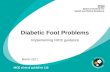 Diabetic Foot Problems Implementing NICE guidance March 2011 NICE clinical guideline 119.