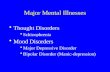 Major Mental Illnesses Thought Disorders Schizophrenia Mood Disorders Major Depressive Disorder Bipolar Disorder (Manic-depression)