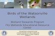 Birds of the Watsonville Wetlands Wetland Stewards Program Fitz Wetlands Educational Resource Center Inspiring research and conservation of the wetlands.