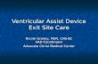 Ventricular Assist Device Exit Site Care Nicole Graney, MSN, CNS-BC VAD Coordinator Advocate Christ Medical Center.