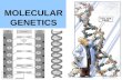 MOLECULAR GENETICS. YOU MUST KNOW… THE STRUCTURE OF DNA THE MAJOR STEPS TO REPLICATION THE DIFFERENCE BETWEEN REPLICATION, TRANSCRIPTION, AND TRANSLATION.