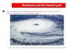 Hurricanes and the Carnot cycle We are going to show that hurricanes are ( in good approximation ) a natural realization of the Carnot cycle. rare South.