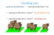 Stocking rate pasture production = animal production / ha = animal production / head * no of animal / ha = animal production / head * stocking rate.