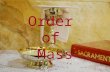 Order of Mass 1. The Introductory Rites 2 3 Introductory Rites The Introductory Rites gather the community and allow the people to unite in mind, heart.