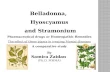 Belladonna, Hyoscyamus and Stramonium Pharmaceutical drugs or Homeopathic Remedies The effect of these plants in treating Mental illnesses A comparative.