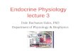 Endocrine Physiology lecture 3 Dale Buchanan Hales, PhD Department of Physiology & Biophysics.