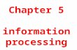 Chapter 5 information processing. Information processing Recap: – Black box model – Welfords model CNS feedback.