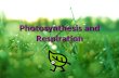 Photosynthesis and Respiration. What is photosynthesis? A chemical reaction that occurs in plants that changes light energy to chemical energy A chemical.