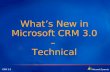 CRM 3.0 Whats New in Microsoft CRM 3.0 – Technical.
