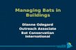 Managing Bats in Buildings Dianne Odegard Outreach Associate Bat Conservation International.