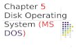 1 Chapter 5 Disk Operating System (MS DOS). 2 Disk Operating System (DOS) In the 1980s or early 1990s, the operating system that shipped with most PCs.