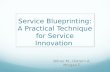 Service Blueprinting: A Practical Technique for Service Innovation Bitner M., Ostrom A., Morgan F.