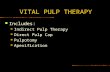 VITAL PULP THERAPY Includes: Indirect Pulp Therapy Direct Pulp Cap Pulpotomy Apexification.