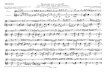 Sonata A-Moll for flute&guitar by Albinoni