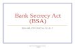 Bank Secrecy Act (BSA) BSA-AML-CIP-OFAC for I.S. & I.T.  02/2010.