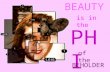 BEAUTY PHI BEHOLDER of the is in the. Beauty A quality that gives aesthetic pleasure Visual pleasantness of a person, animal, object or scene. Pleasantness.