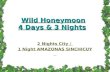 Wild Honeymoon 4 Days & 3 Nights 2 Nights City / 1 Night AMAZONAS SINCHICUY.