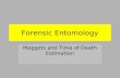 Introduction to Forensic Science Forensic Entomology
