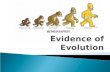 Evidence of Evolution The genetic changes in a species over time.