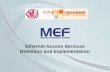 1 Ethernet Access Services Definition and Implementation.