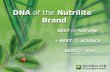 DNA of the Nutrilite Brand BEST OF NATURE + BEST OF SCIENCE = BEST OF YOU BEST OF NATURE + BEST OF SCIENCE = BEST OF YOU.