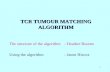 1 TCR TUMOUR MATCHING ALGORITHM The structure of the algorithm- Heather Bourne Using the algorithm - Jason Hiscox.