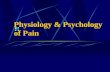 Physiology & Psychology of Pain. What is Pain?? Introductory Ideas Sensation of the affected level of unpleasantness Perception of actual or threatened.