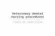 TYPES OF DENTITION Veterinary dental nursing procedures TYPES OF DENTITION.