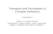 Transport and Percolation in Complex Networks Guanliang Li Advisor: H. Eugene Stanley Collaborators: Shlomo Havlin, Lidia A. Braunstein, Sergey V. Buldyrev.