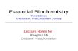 Lecture Notes for Chapter 15 Oxidative Phosphorylation Essential Biochemistry Third Edition Charlotte W. Pratt | Kathleen Cornely.