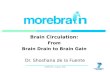 CAREER-EU, Limassol, 2010 Brain Circulation: From Brain Drain to Brain Gain Dr. Shoshana de la Fuente.