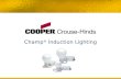 Champ ® Induction Lighting. Champ ® Induction Lighting – Table of Contents Product Family Overview Champ Induction Lighting System Components How Induction.